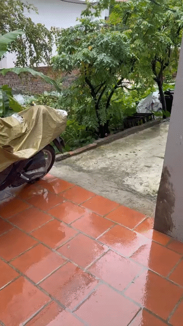 Mua bán Nhà ở Quận Long Biên Hà Nội diện tích 30.2 m² giá 6,5 tỷ