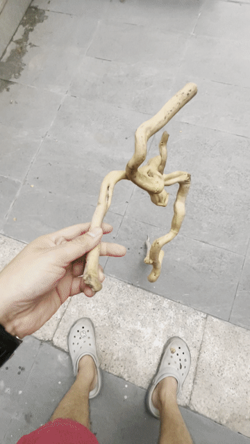 Lũa trang trí Gỗ lũa Nâu nhạt. Mua bán Cây cảnh, đồ trang trí tại Quận Long Biên Hà Nội được đăng bởi Mr Quang hình 1