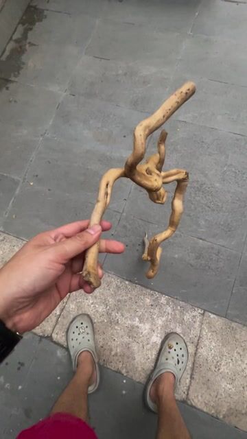 Lũa trang trí Gỗ lũa Nâu nhạt. Mua bán Cây cảnh, đồ trang trí tại Quận Long Biên Hà Nội được đăng bởi Mr Quang hình 1