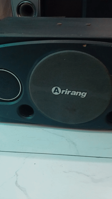 Loa Arirang 25cm màu Đen. Mua bán Tivi, Âm thanh tại Huyện Hoài Đức Hà Nội được đăng bởi Huyền hình 1