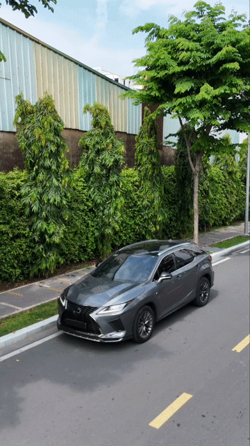 Lexus RX350 F-Sport 2021 Xám 58.000 Km. Mua bán Ô tô tại Quận Bình Tân Tp Hồ Chí Minh được đăng bởi Huỳnh Thiên Bảo hình 1