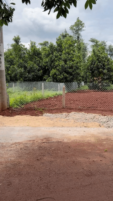 Mua bán Đất Huyện Châu Đức Bà Rịa - Vũng Tàu diện tích 272 m² giá 580 triệu