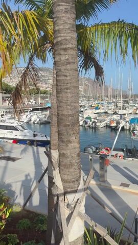 Ramp down to the renovated Funchal Marina