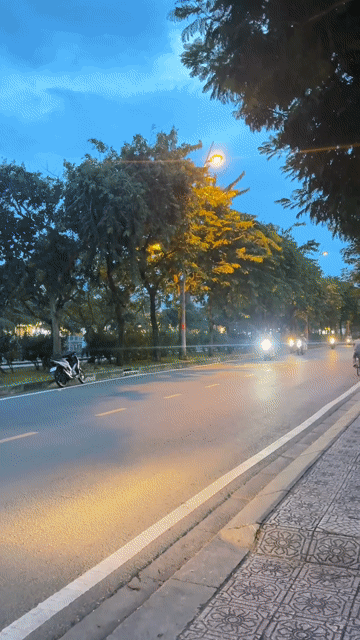 Mua bán Nhà ở Quận 1 Tp Hồ Chí Minh diện tích 31 m² giá 6,99 tỷ