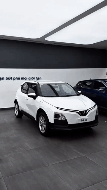 Giá VF 5 Tháng 7: 461 triệu Trả trước 53 triệu. Mua bán Ô tô tại Thành phố Thủ Đức Tp Hồ Chí Minh được đăng bởi VinFast  hình 1
