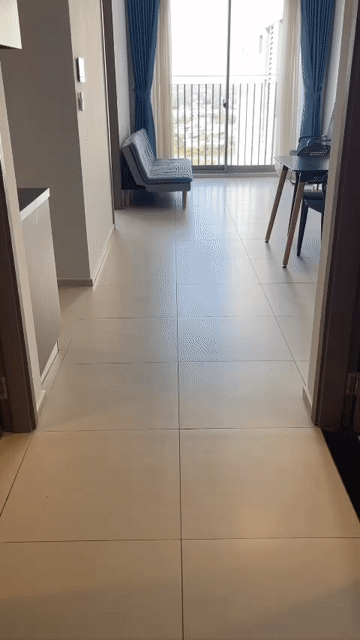 Cho thuê Căn hộ Chung cư West Gate Park Huyện Bình Chánh Tp Hồ Chí Minh diện tích 60 m² giá 8 triệu/tháng