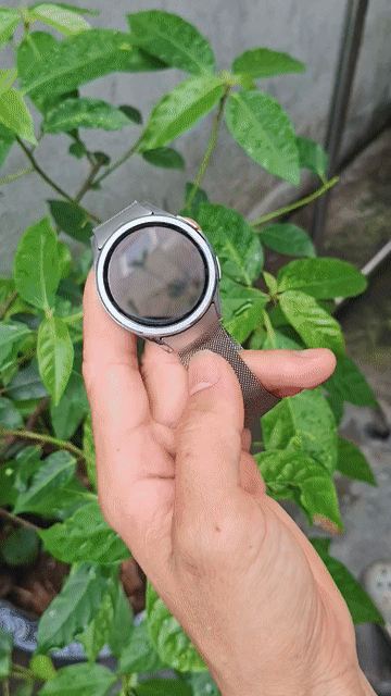 Samsung Galaxy Watch 6 Classic Bạc. Mua bán Thiết bị đeo thông minh tại Quận Hải An Hải Phòng được đăng bởi Lực Mai hình 1