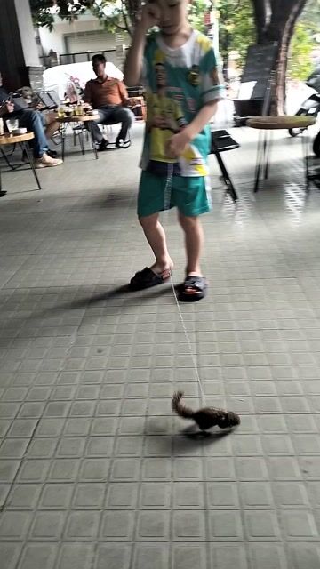 thanh lý Sóc đất. Mua bán Thú cưng khác tại Quận Tân Bình Tp Hồ Chí Minh được đăng bởi Tên chưa cung cấp hình 1