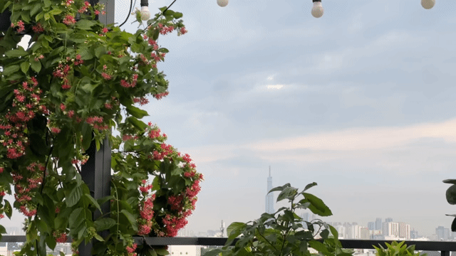 Cho thuê Phòng trọ Quận 12 Tp Hồ Chí Minh diện tích 18 m² giá 3,8 triệu/tháng