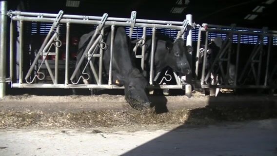 Un jour, un métier, ingénieur agronome