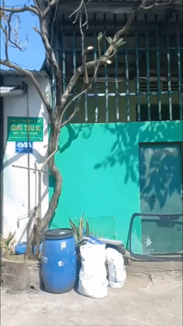 Cho thuê Văn phòng, Mặt bằng kinh doanh Huyện Hóc Môn Tp Hồ Chí Minh diện tích 300 m² giá 10 triệu/tháng