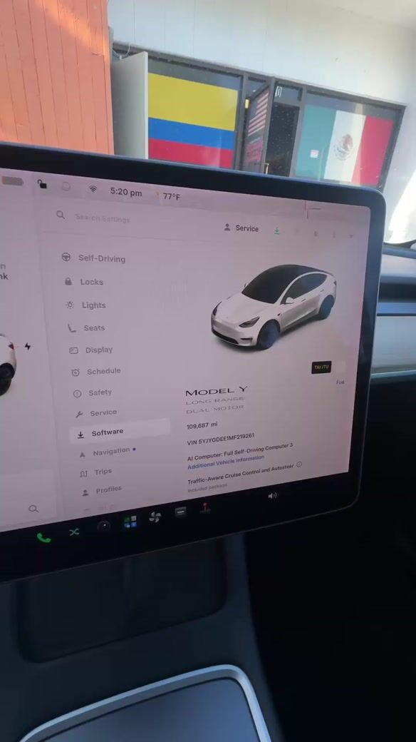 2021 Tesla Model Y