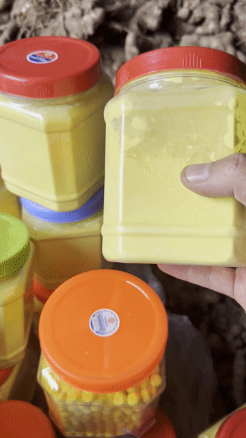 Tinh Bột Nghệ. Mua bán Đồ ăn, thực phẩm và các loại khác tại Huyện Khoái Châu Hưng Yên được đăng bởi Sao Nguyễn hình 1