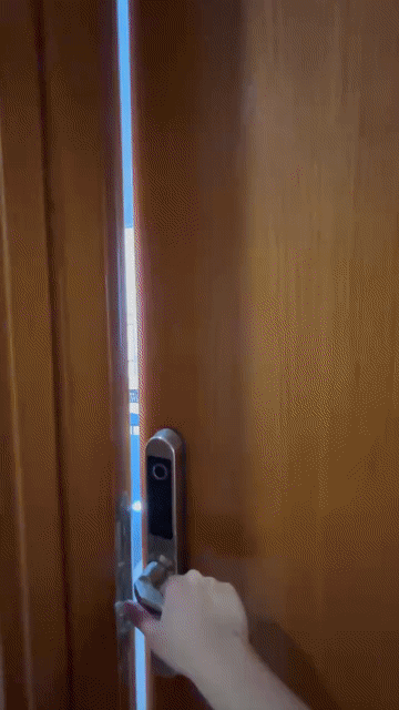 Cho thuê Căn hộ Chung cư Sài Gòn Intela Huyện Bình Chánh Tp Hồ Chí Minh diện tích 55 m² giá 6,5 triệu/tháng