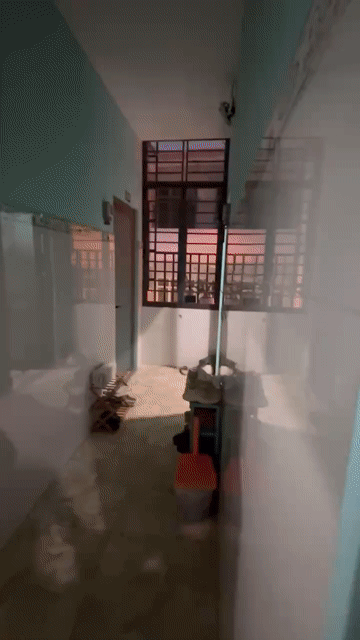 Cho thuê Phòng trọ Quận Tân Phú Tp Hồ Chí Minh diện tích 35 m² giá 3 triệu/tháng