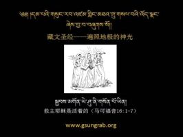 ཆ་ཤས་ ༡༤པ།  ཡེ་ཤུ་ད་དུང་སྐུ་འཚོ་གཞེས་གནང་བ།