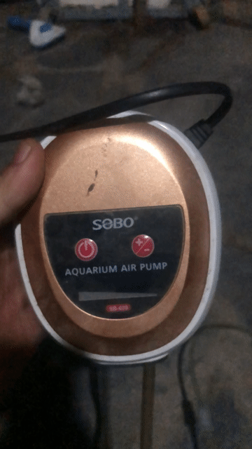 Máy bơm không khí Sobo SB-628 màu Đồng. Mua bán Phụ kiện, Thức ăn, Dịch vụ tại Huyện Trảng Bom Đồng Nai được đăng bởi Đỗ Đăng Khôi hình 1