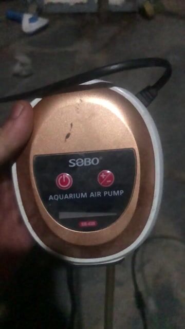 Máy bơm không khí Sobo SB-628 màu Đồng. Mua bán Phụ kiện, Thức ăn, Dịch vụ tại Huyện Trảng Bom Đồng Nai được đăng bởi Đỗ Đăng Khôi hình 1