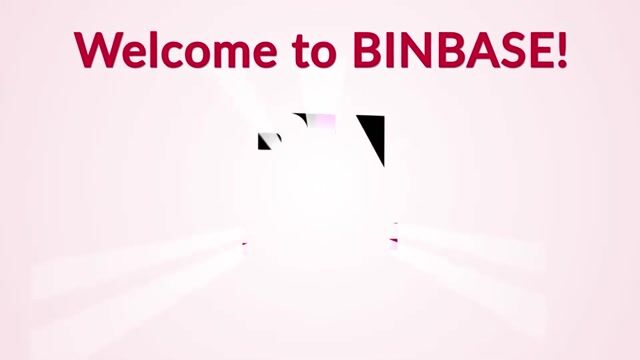 Binbase Explainer Video