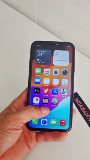 Em Bán điện thoại iPhone 11 -64G. Mua bán Điện thoại tại Huyện Ba Tri Bến Tre được đăng bởi Phan Hải BT hình 1