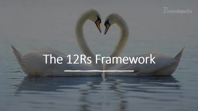 The 12 Rs Framework for Research with Animals | Encyclopedia MDPI