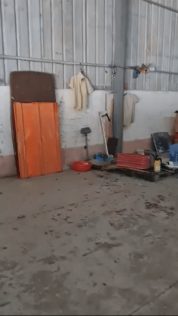 Cho thuê Văn phòng, Mặt bằng kinh doanh Huyện Củ Chi Tp Hồ Chí Minh diện tích 1800 m² giá 92 triệu/tháng