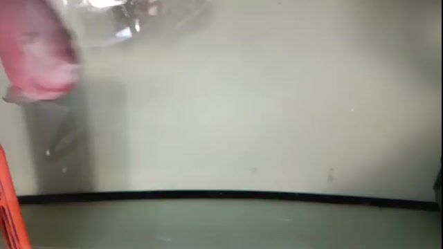 Cá La Hán Đỏ Khỉ đỏ 4 ngón. Mua bán Thú cưng khác tại Thị xã Bến Cát Bình Dương được đăng bởi Nguyễn Toàn Trung hình 1