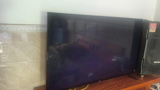 Tivi Xiaomi 58 inch Hỏng hình. Mua bán Tivi, Âm thanh tại Quận Sơn Trà Đà Nẵng được đăng bởi cuồng tran hình 1