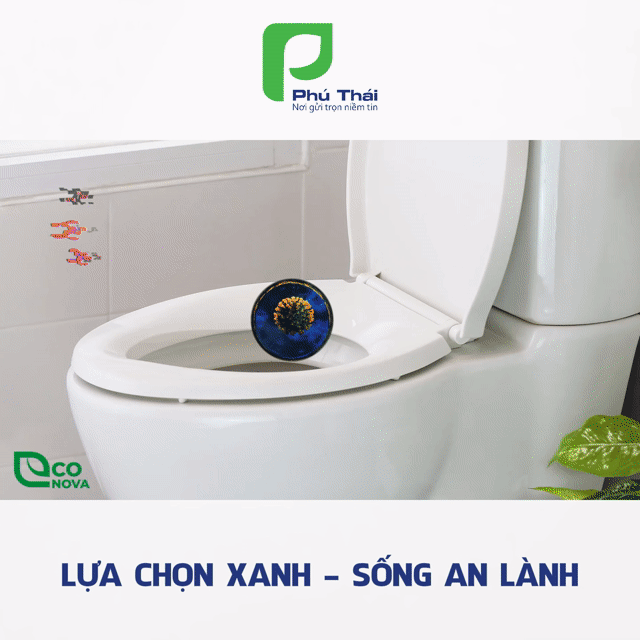 Nước tẩy rửa Econova 900g. Mua bán Thiết bị vệ sinh, nhà tắm tại Thành phố Hưng Yên Hưng Yên được đăng bởi Trần Bạch Vy hình 1