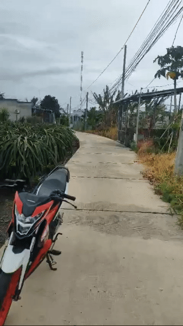 Mua bán Đất Thành phố Tân An Long An diện tích 156 m² giá 1,2 tỷ
