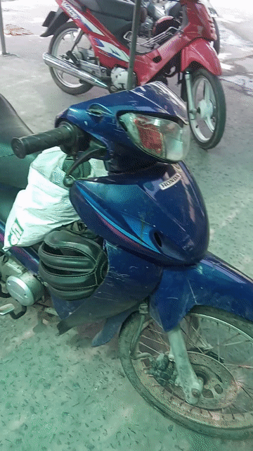 Honda Future 110 Xanh tím. Mua bán Xe máy tại Huyện Châu Thành Tiền Giang được đăng bởi The End hình 1