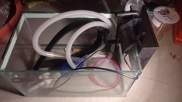 Hồ cá 20L 40x24x21cm Đã dùng. Mua bán Phụ kiện, Thức ăn, Dịch vụ tại Quận Phú Nhuận Tp Hồ Chí Minh được đăng bởi Nguyễn Minh hình 1