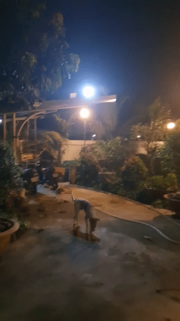 Mua bán Đất Huyện Đức Hòa Long An diện tích 1800 m² giá 7 tỷ