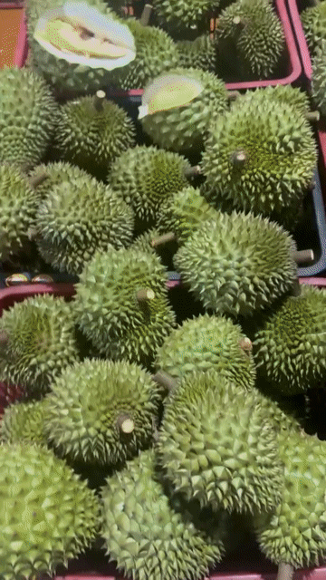 Sầu riêng kem. Mua bán Đồ ăn, thực phẩm và các loại khác tại Quận Bình Tân Tp Hồ Chí Minh được đăng bởi Tâm hình 1