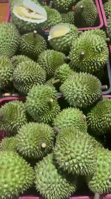 Sầu riêng kem. Mua bán Đồ ăn, thực phẩm và các loại khác tại Quận Bình Tân Tp Hồ Chí Minh được đăng bởi Tâm hình 1