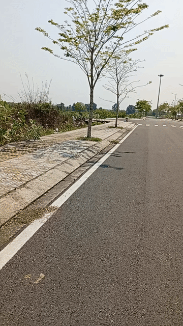 Mua bán Đất Huyện Củ Chi Tp Hồ Chí Minh diện tích 300 m² giá 3 tỷ