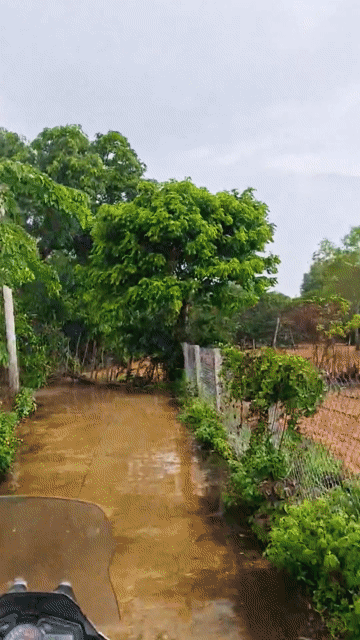 Mua bán Đất Thành phố Phan Thiết Bình Thuận diện tích 6222.4 m² giá 26,445 tỷ