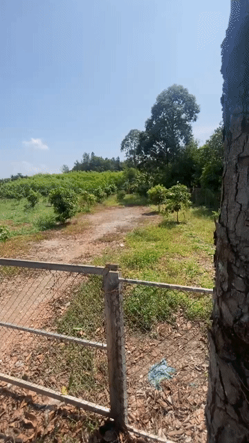 Mua bán Đất Huyện Vĩnh Cửu Đồng Nai diện tích 6000 m² giá 18,6 tỷ