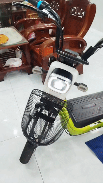 Xe đạp điện màu Xanh lá. Mua bán Xe đạp tại Quận Gò Vấp Tp Hồ Chí Minh được đăng bởi nguyen huan hình 1