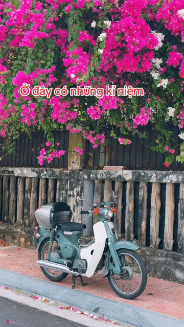 Honda Super Cub 78/50cc xanh vỏ dưa chính chủ. Mua bán Xe máy tại Thành phố Vũng Tàu Bà Rịa - Vũng Tàu được đăng bởi Long hình 1