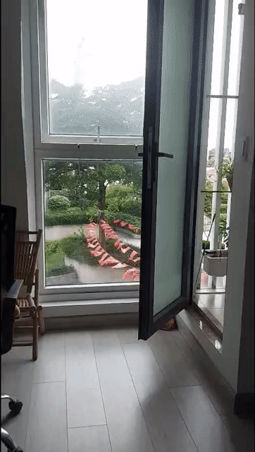 Mua bán Căn hộ Chung cư Hưng Phát Silver Star Huyện Nhà Bè Tp Hồ Chí Minh diện tích 33.2999 m² giá 1,65 tỷ