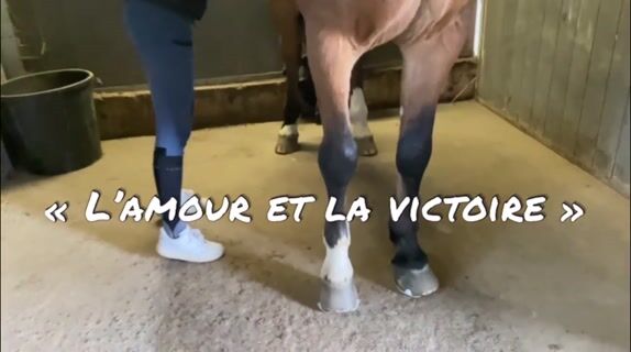 L'amour et la victoire