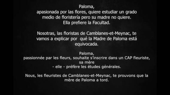 bienvenido al mundo de las FLORISTAS