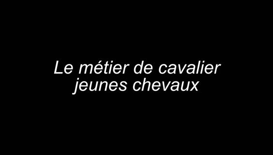Le métier de cavalier jeunes chevaux