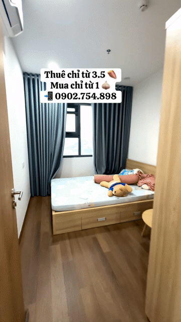 Cho thuê Căn hộ Chung cư Legacy Central Thành phố Thuận An Bình Dương diện tích 42 m² giá 5,5 triệu/tháng