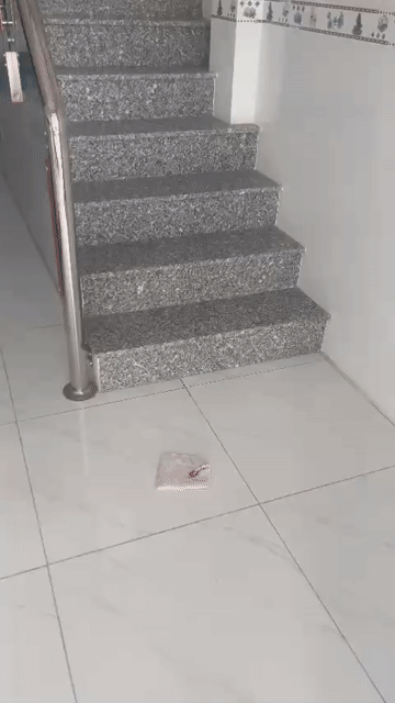 Mua bán Nhà ở Thành phố Sa Đéc Đồng Tháp diện tích 87 m² giá 2,5 tỷ