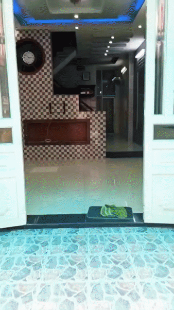 Cho thuê Nhà ở Quận Gò Vấp Tp Hồ Chí Minh diện tích 56 m² giá 15 triệu/tháng