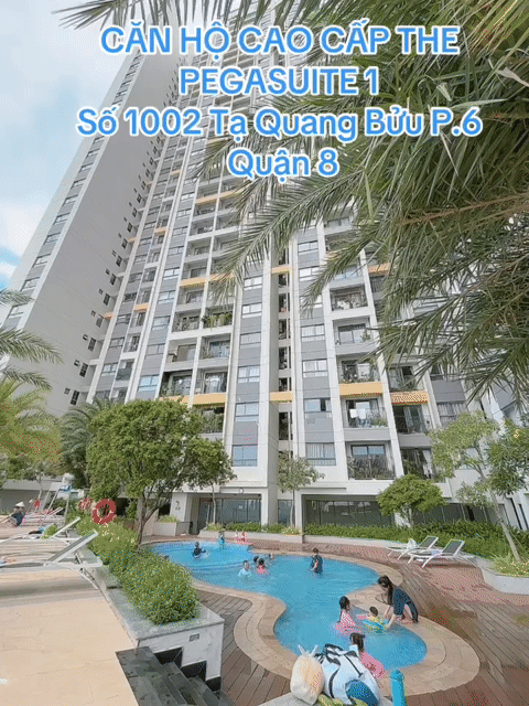 Cho thuê Căn hộ Chung cư The Pegasuite Quận 8 Tp Hồ Chí Minh diện tích 68 m² giá 13 triệu/tháng
