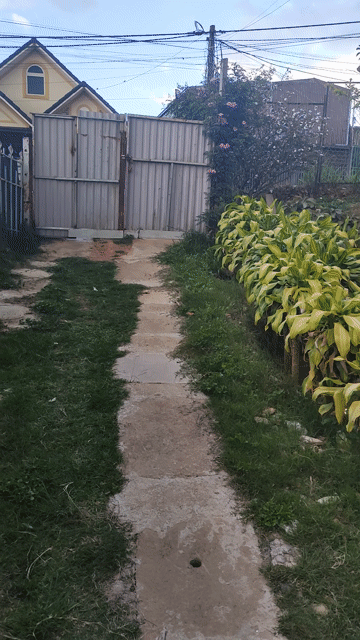 Cho thuê Nhà ở Thành phố Đà Lạt Lâm Đồng diện tích 300 m² giá 3,5 triệu/tháng
