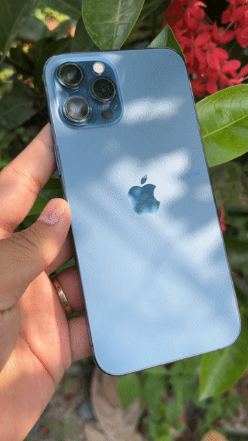 Thanh Lý iPhone 12 Pro Max Xanh 256GB Máy QT. Mua bán Điện thoại tại Thành phố Vĩnh Long Vĩnh Long được đăng bởi Công Hiếu hình 1